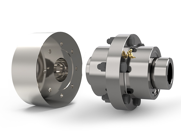 Gear Coupling