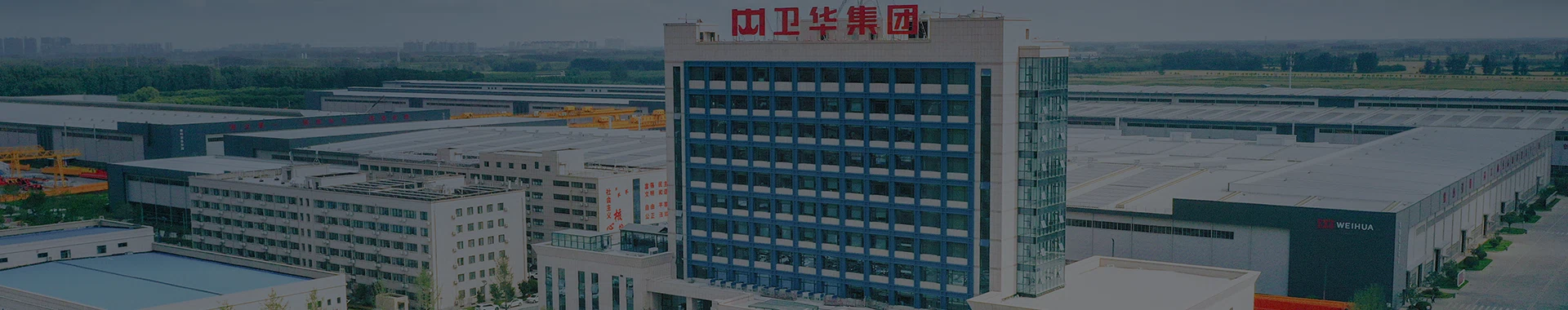 About Company